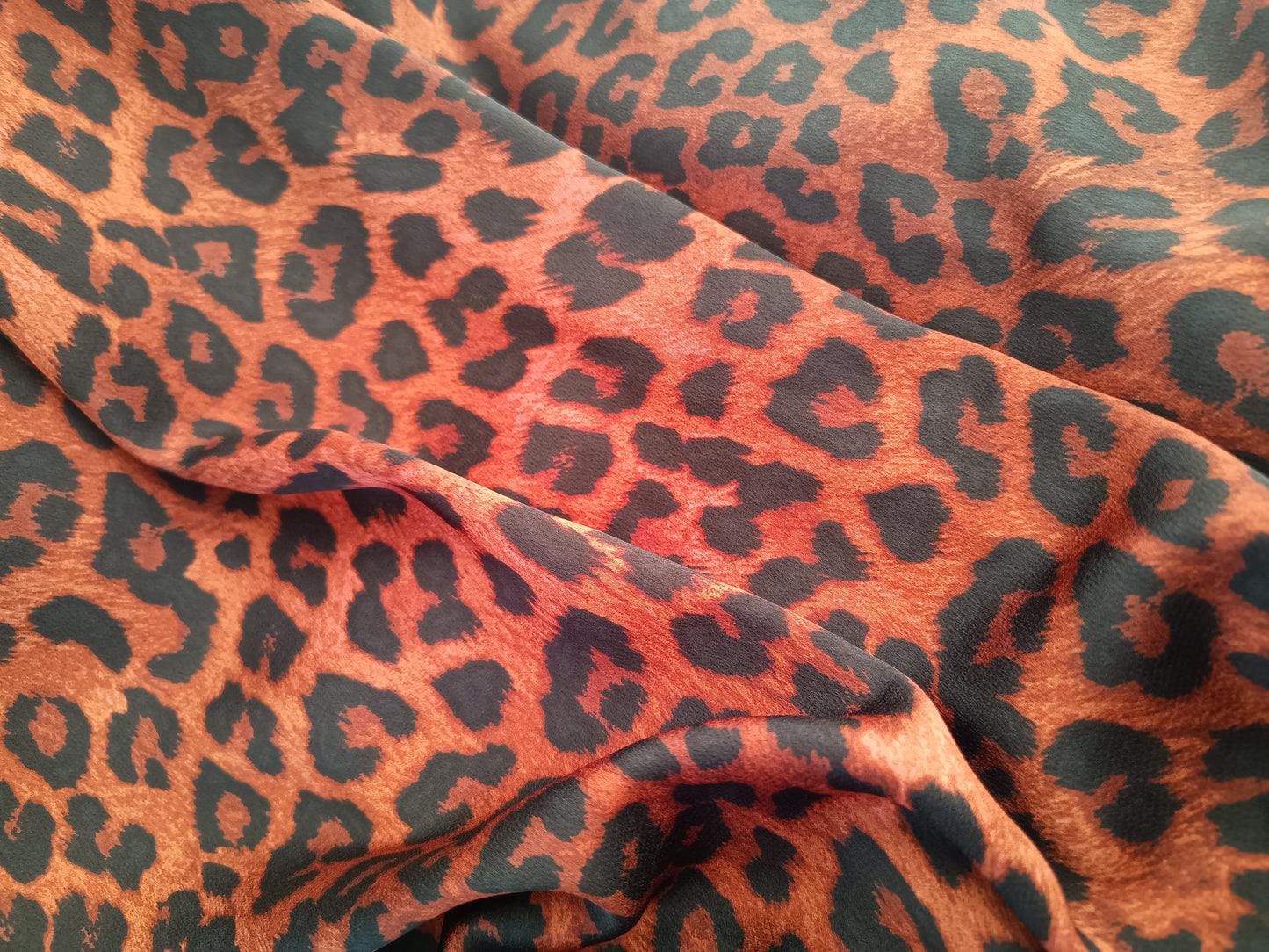 K Leopardo Rojizo